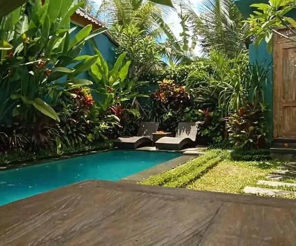 Villa Rona 1